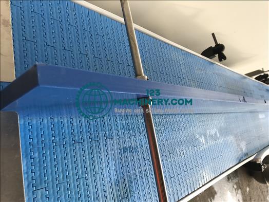 Blackrow Stainless conveyor