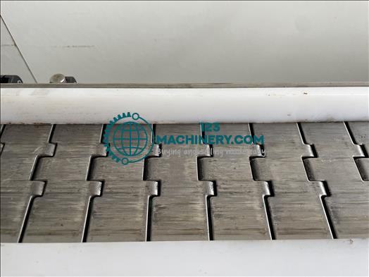 NNP Slat chain conveyor