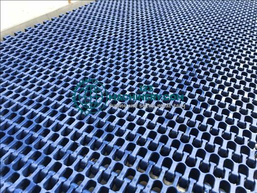 Pokaż ogłoszenie NNP Stainless conveyor