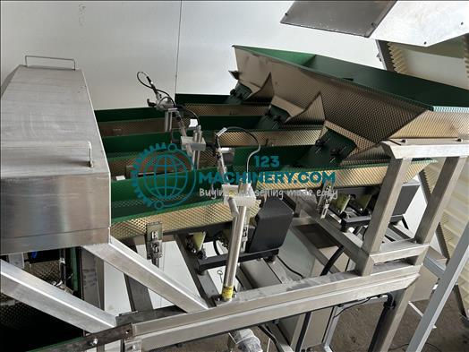 Posiweigh Triple200 Three lane linear weighing line