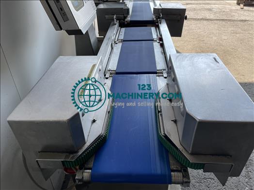 Marel 8160 Weigh price labeler