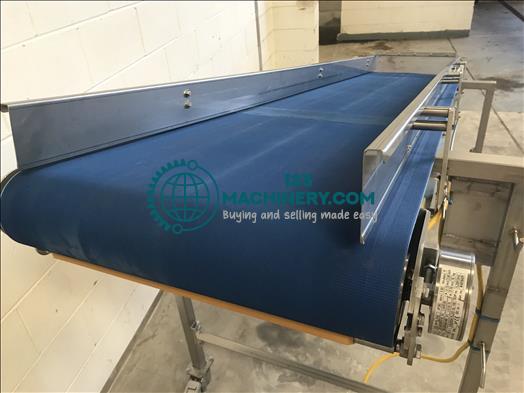 NNP Stainless conveyor