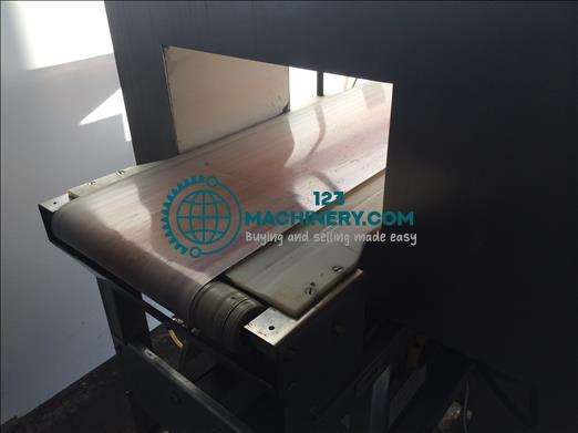 Cintex Sentry Metal detector