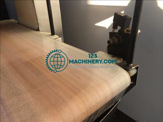 Cintex Sentry Metal detector