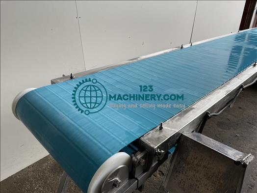 NNP Stainless conveyor