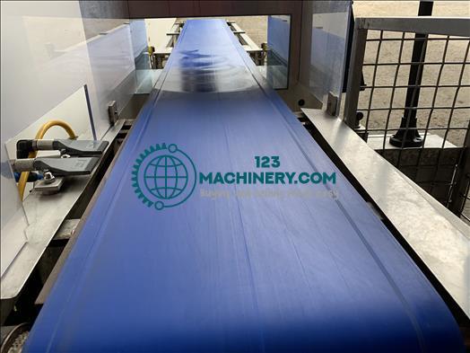 Toon advertentie Thermo Scientific Apex 500 Metal detector