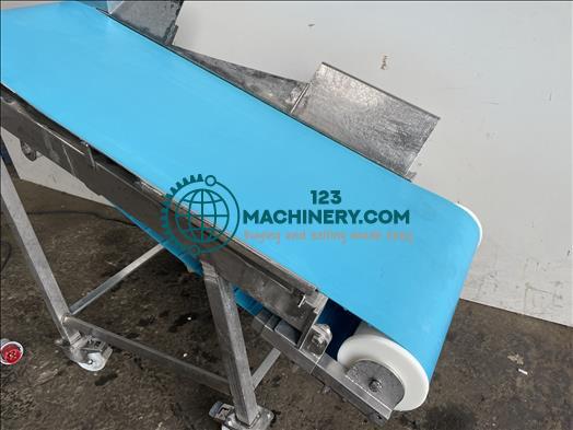 NNP Stainless conveyor