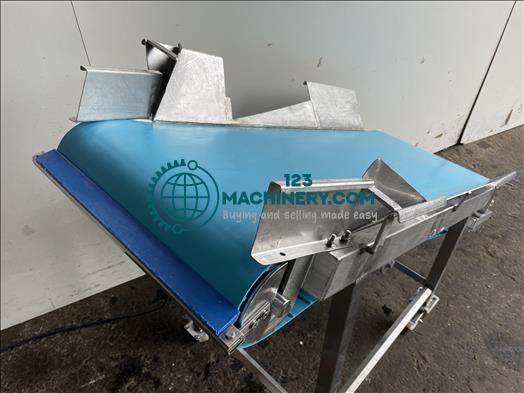 NNP Stainless conveyor