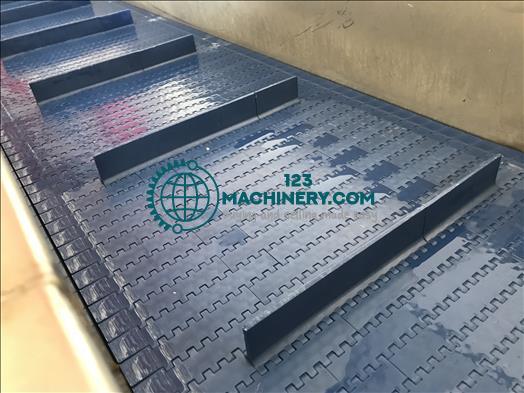 NNP Stainless flighted conveyor