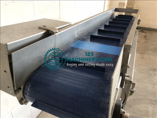 NNP Stainless flighted conveyor