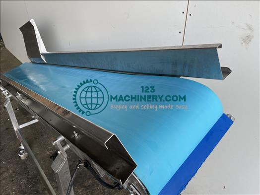 NNP Stainless conveyor